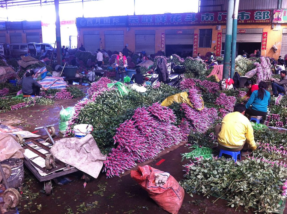斗南花卉市场
